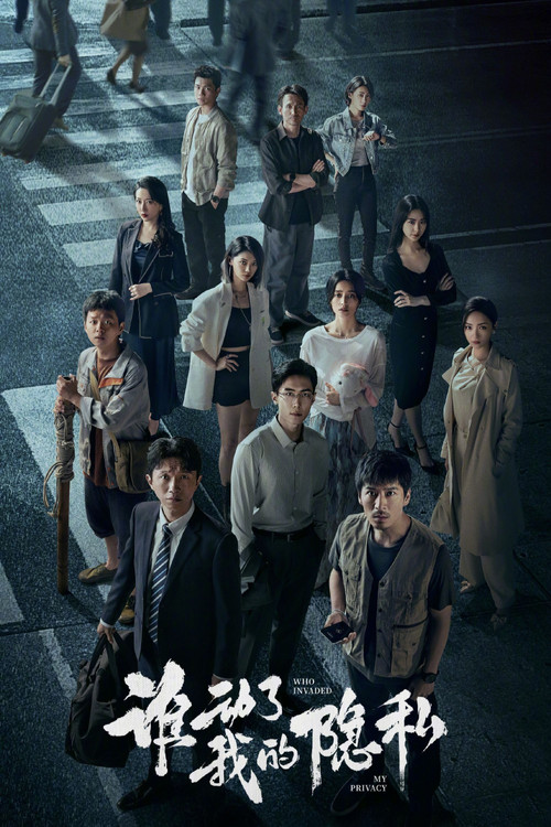 Póster de 谁动了我的隐私