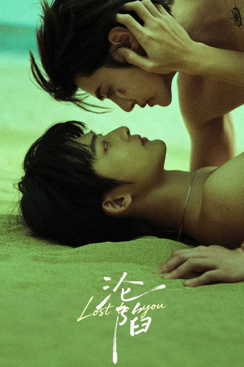 Póster de Lost to You
