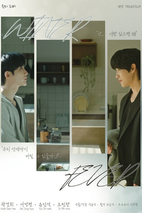 Póster de 윈터 피버