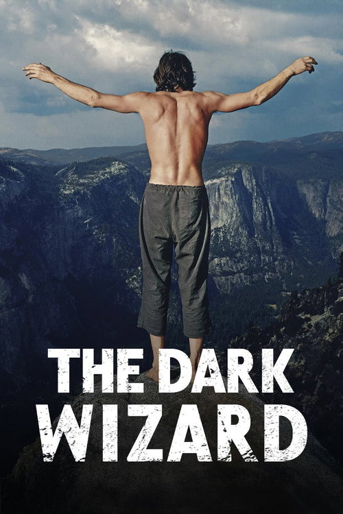 Póster de The Dark Wizard