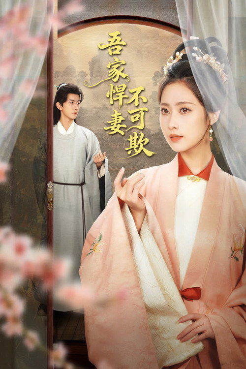 Póster de My Valiant Wife