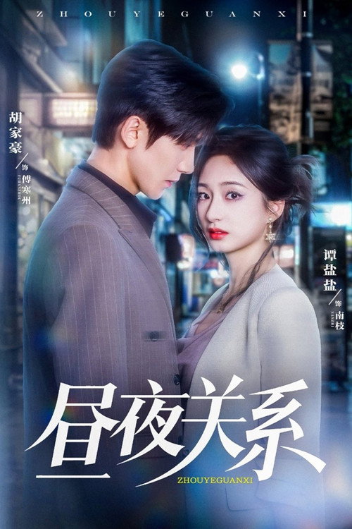 Póster de 昼夜关系