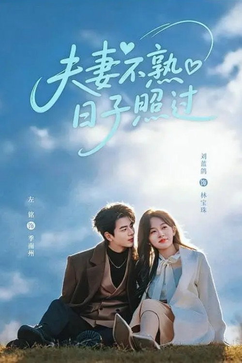 Póster de 夫妻不熟，日子照过