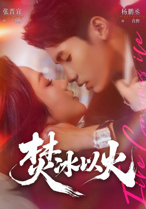 Póster de 焚冰以火
