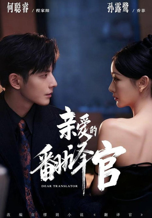 Póster de 亲爱的翻译官