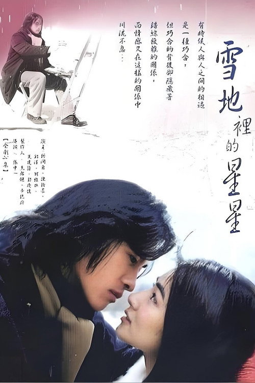 Póster de 雪地里的星星