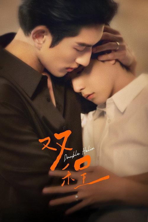 Póster de 双程
