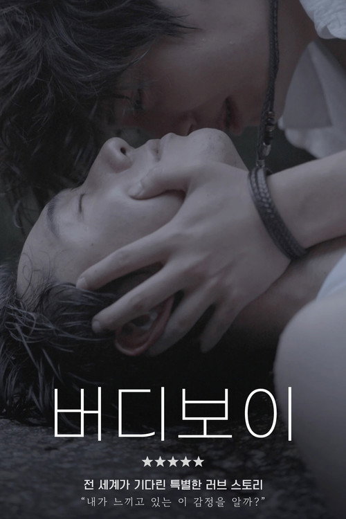 Póster de 버디보이