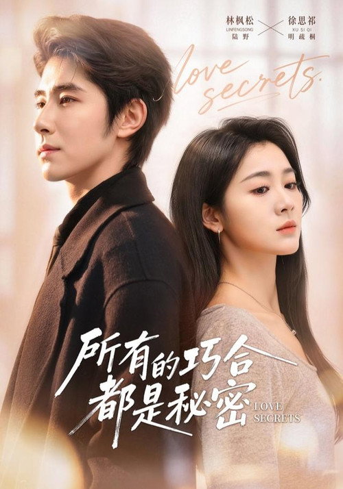 Póster de 所有的巧合都是秘密
