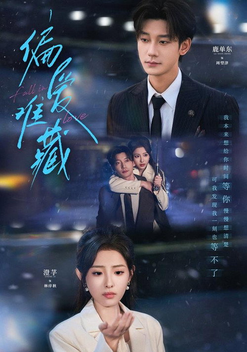 Póster de 偏爱难藏