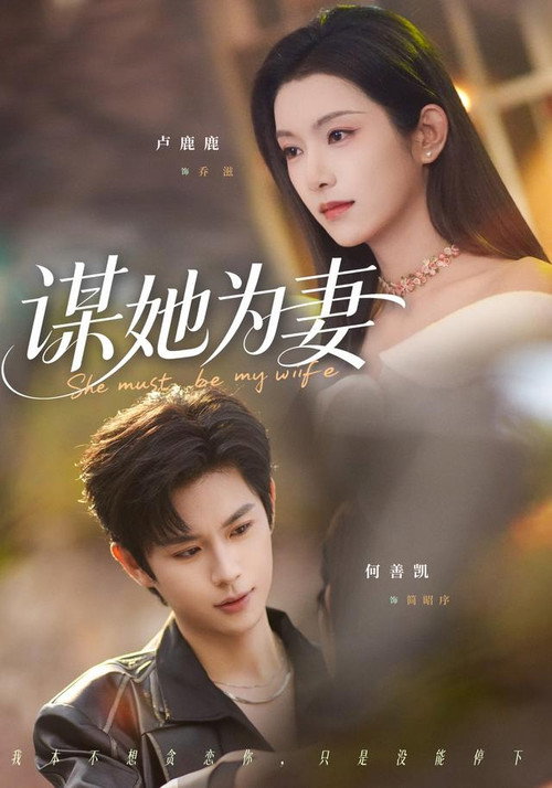 Póster de 谋她为妻