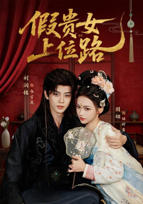 Póster de 假贵女上位路