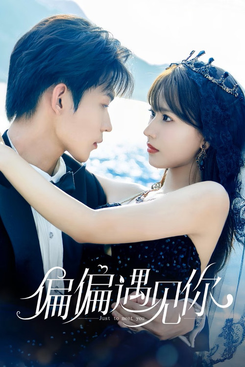 Póster de 偏偏遇见你
