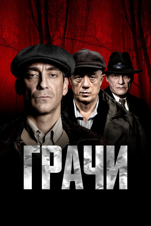 Póster de Грачи