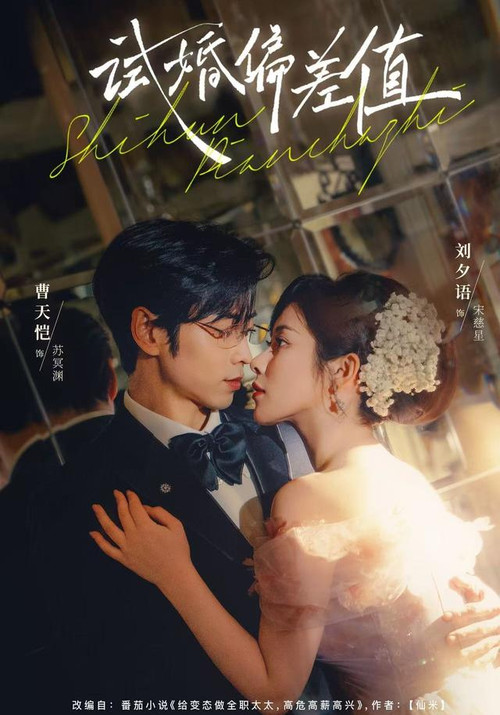 Póster de 试婚偏差值