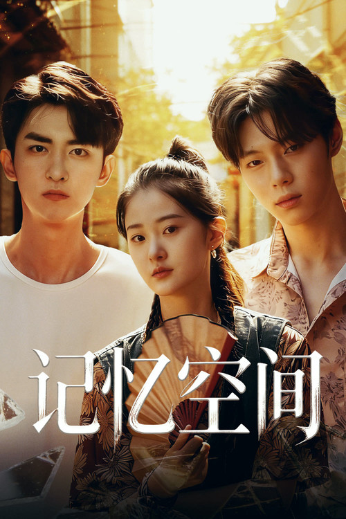 Póster de 记忆空间