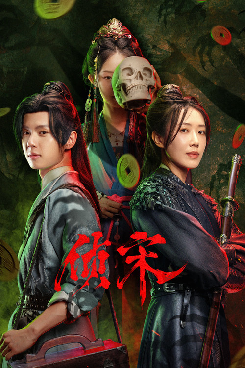Póster de 侦宋