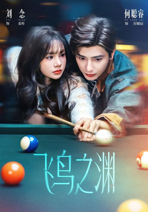 Póster de 飞鸟之渊