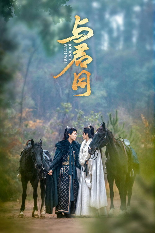 Póster de 与君同