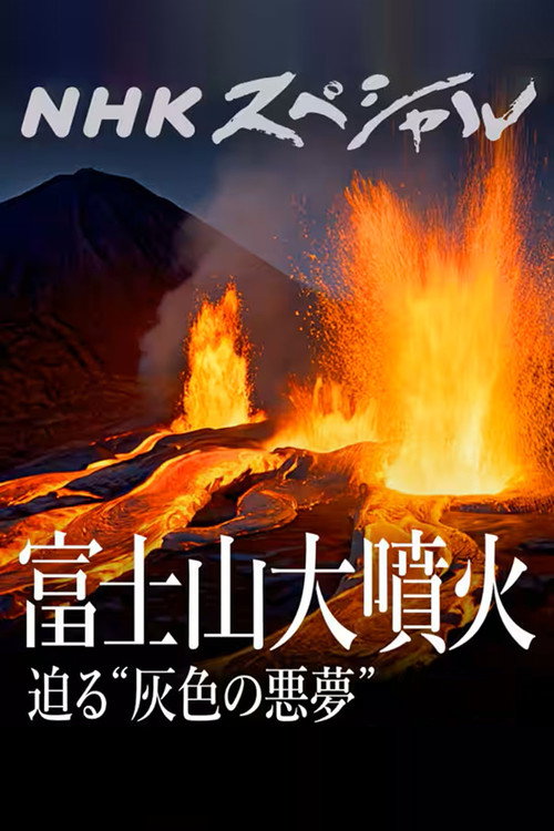 Póster de 富士山大噴火