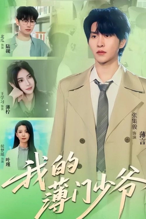 Póster de 我的薄门少爷
