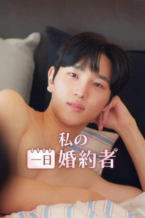 Póster de 나의 시크릿 파트너