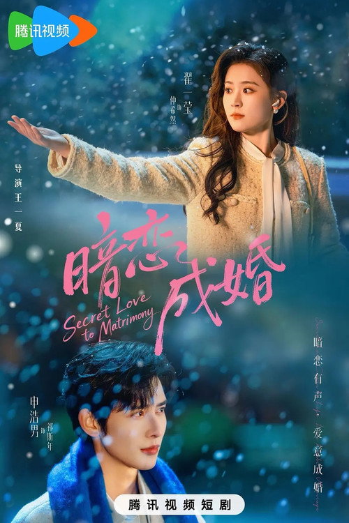 Póster de 暗恋成婚