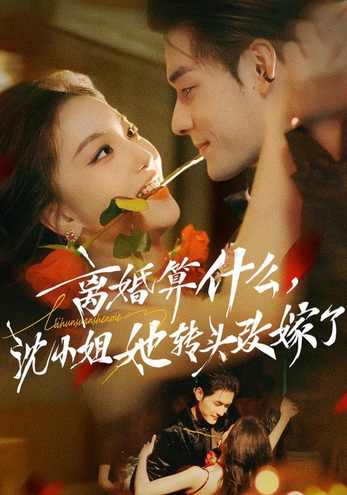 Póster de 离婚算什么，沈小姐她转头改嫁了