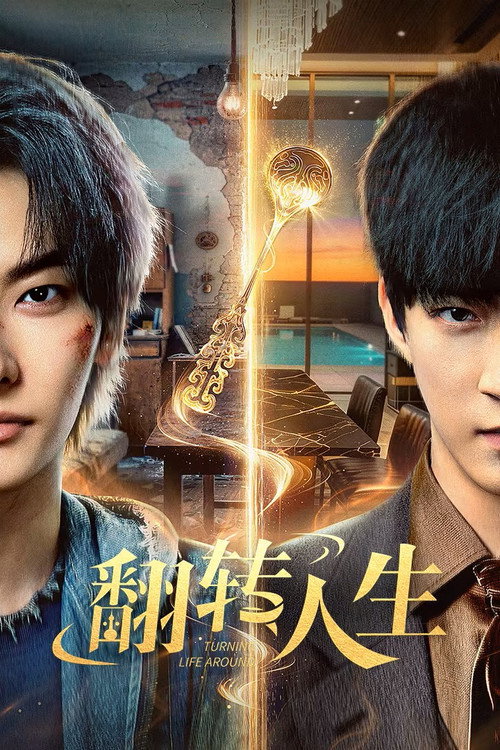 Póster de 翻转人生