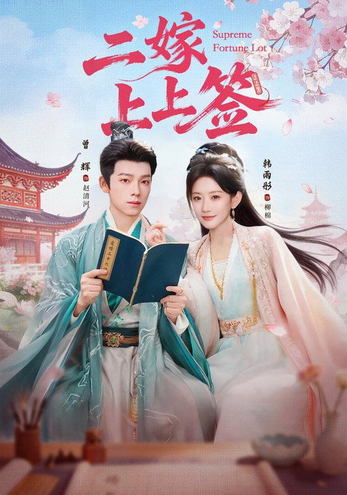 Póster de 二嫁上上签