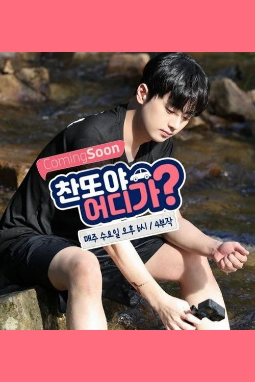 Póster de 찬또야 어디가?