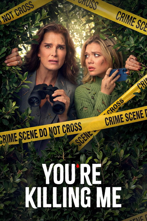 Póster de You're Killing Me