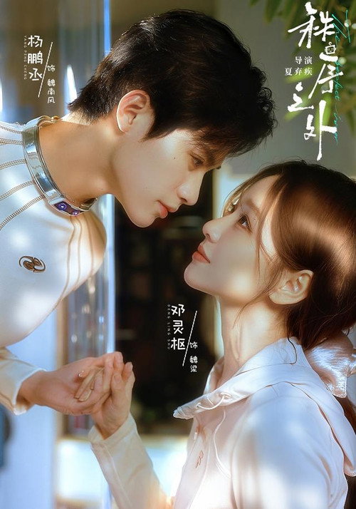 Póster de 秩序之外