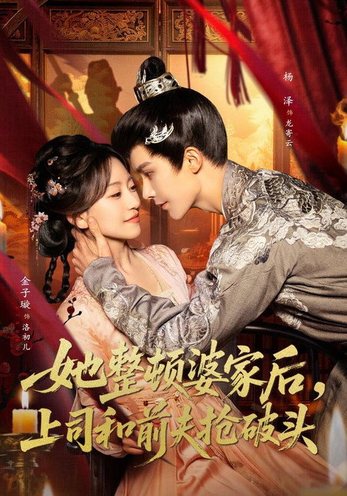 Póster de 她整顿婆家后，上司和前夫抢破头