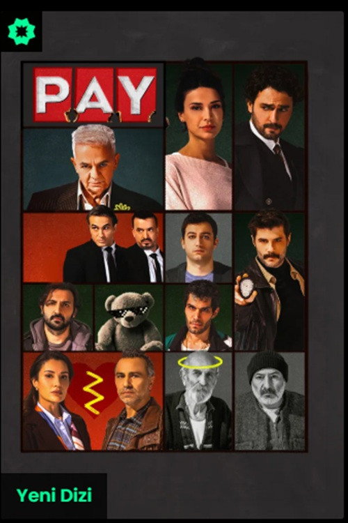 Póster de P.A.Y.