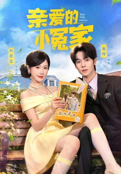 Póster de 亲爱的小冤家