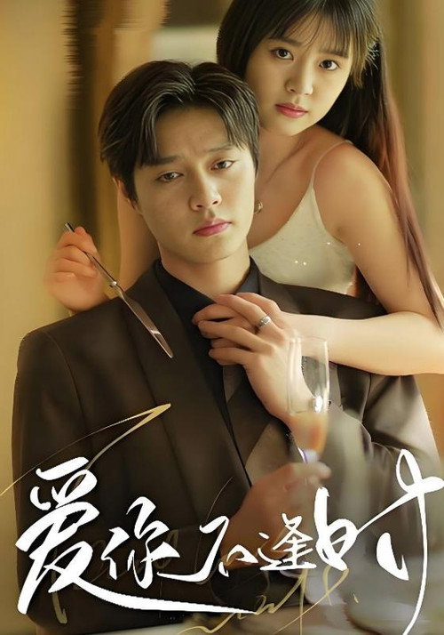 Póster de 爱你不逢时