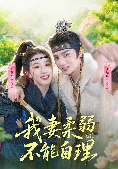 Póster de 我妻柔弱不能自理