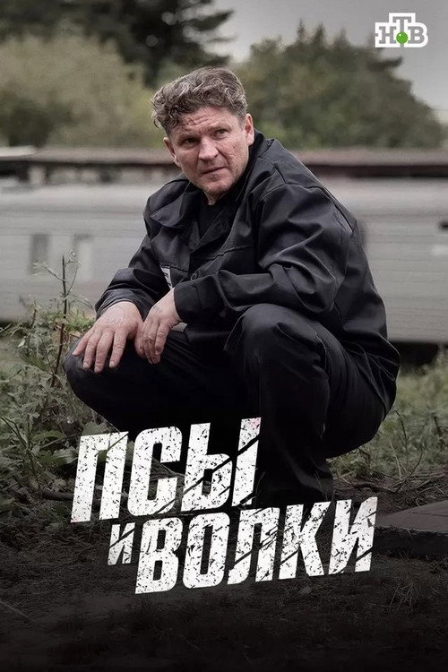 Póster de Псы и волки