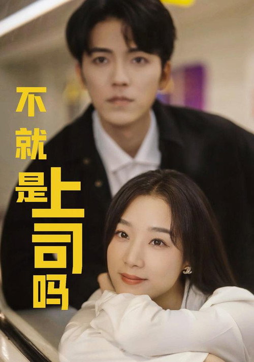 Póster de 不就是上司吗