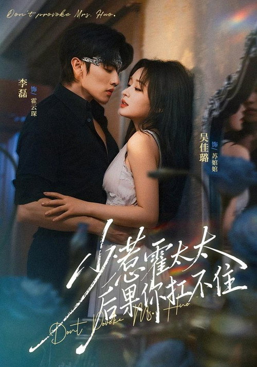 Póster de 少惹霍太太，后果你扛不住