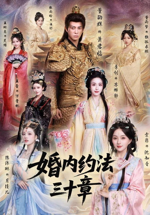 Póster de 婚内约法三十章