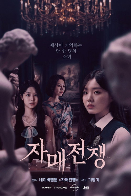 Póster de Sisters at War