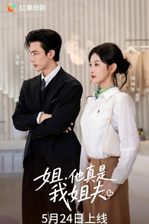 Póster de 姐，他真是我姐夫