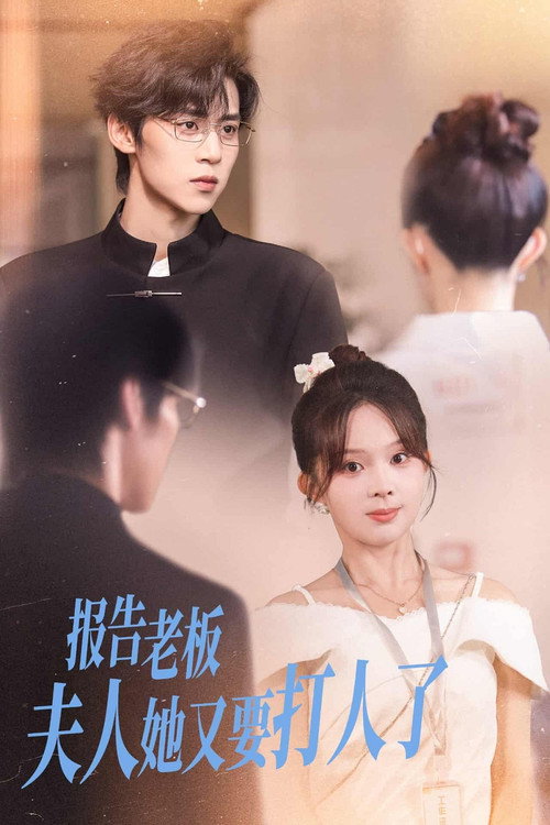 Póster de 报告老板，夫人她又要打人了