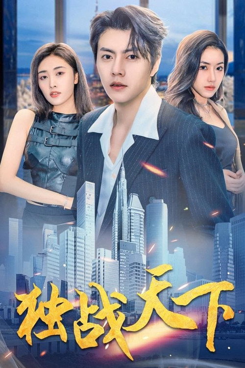 Póster de 独战天下
