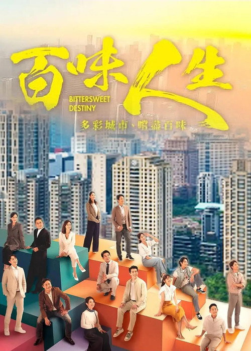 Póster de 百味人生