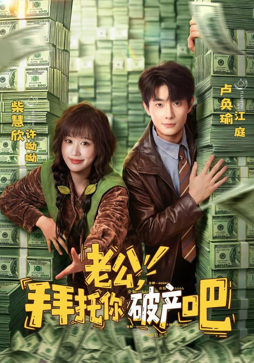 Póster de 老公，拜托你破产吧