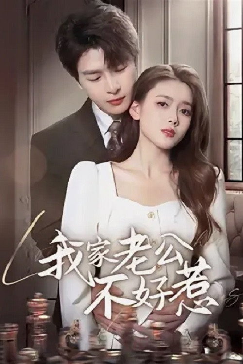 Póster de 我家老公不好惹