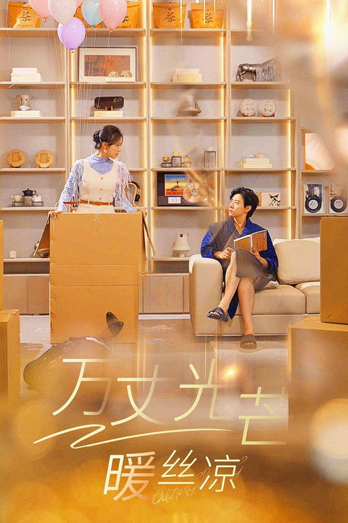 Póster de 万丈光芒暖丝凉